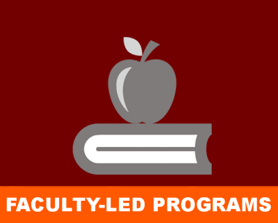 Faculty-led programs