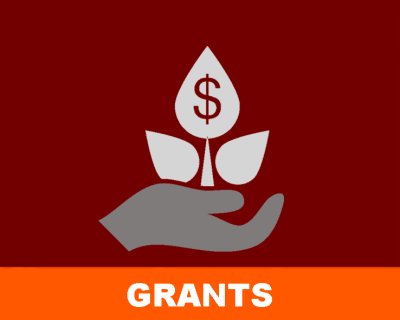 Grants for faculty