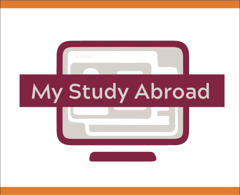 My Study Abroad Log In button