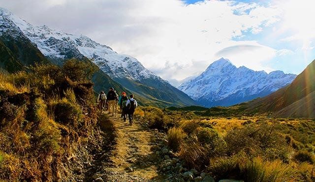 CNRE New Zealand