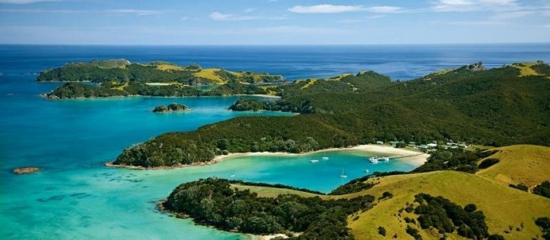 Pamplin in New Zealand