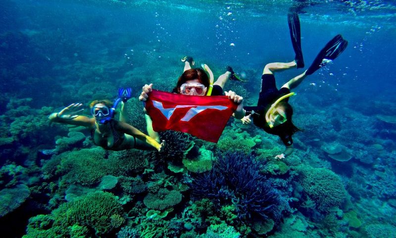 Students snorkeling.